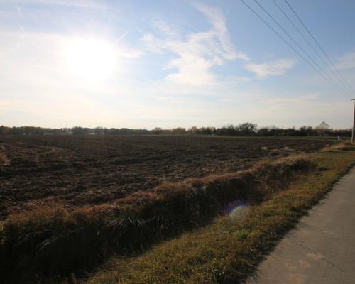 Działka rolno budowlana 65ar Sobolew Kol g. Firlej