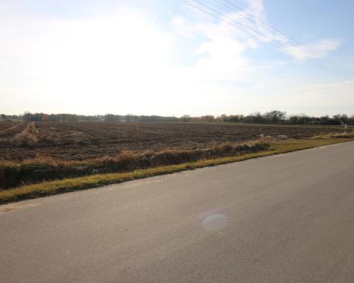 Działka rolno budowlana 65ar Sobolew Kol g. Firlej