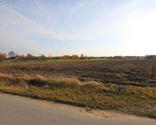 Działka rolno budowlana 65ar Sobolew Kol g. Firlej