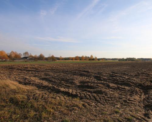 Działka rolno budowlana 65ar Sobolew Kol g. Firlej