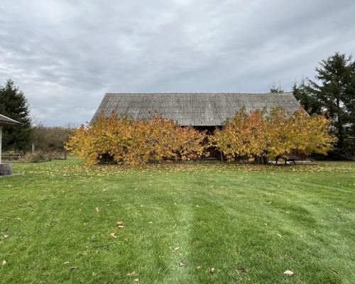 Siedlisko w m. Czarnolas gm. Policzna pow. Zwoleń.