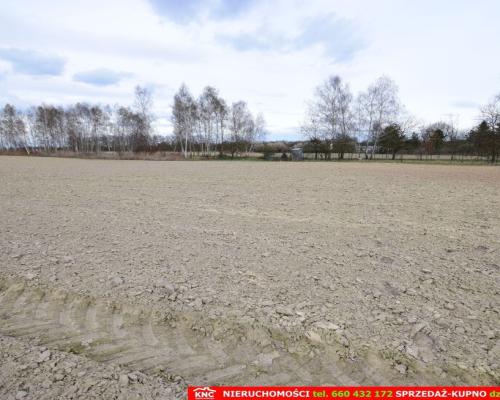 Atrakcyjne działki blisko Lublina i lasu i rzeki.