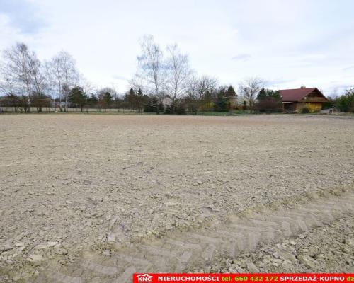 Atrakcyjne działki blisko Lublina i lasu i rzeki.