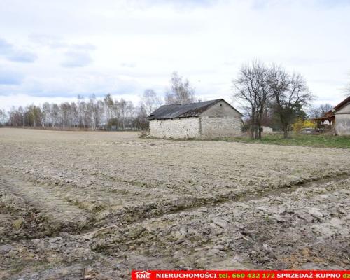 Atrakcyjne działki blisko Lublina i lasu i rzeki.