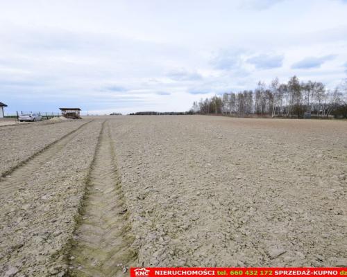 Atrakcyjne działki blisko Lublina i lasu i rzeki.