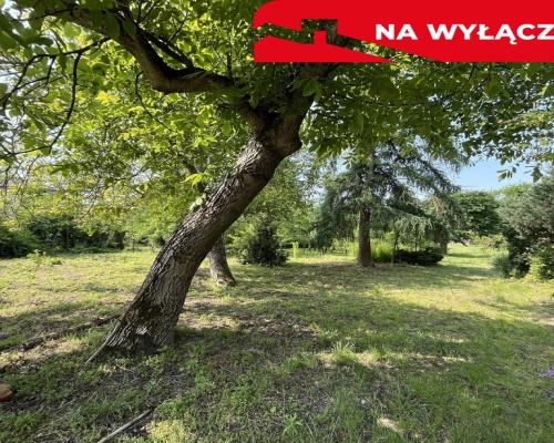 Działka 0,21 ha w Kaliszanach Kolonii gm. Józefów.