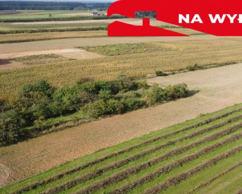 Działka, Motycz, 8.5ar, budownictwo jednorodzinne