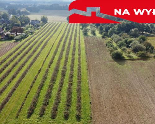 Działka, Motycz, 8.5ar, budownictwo jednorodzinne