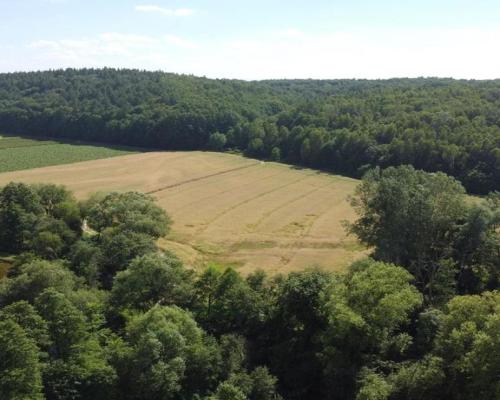 Działka 35 ha z ruinami papierni w Celejowie.