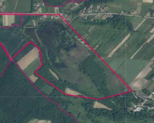 Działka 35 ha z ruinami papierni w Celejowie.