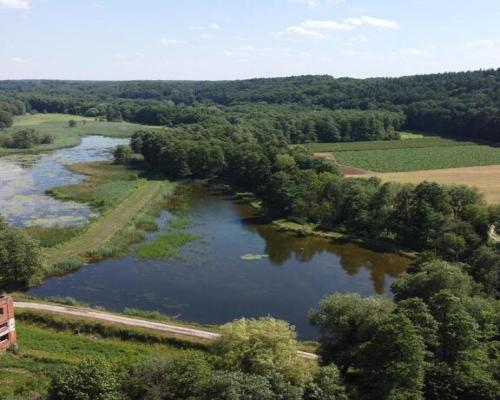 Działka inwestycyjna 35 ha  w Celejowie /Wąwolnica