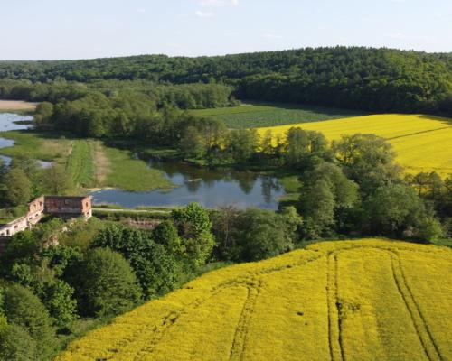 Działka inwestycyjna 35 ha  w Celejowie /Wąwolnica