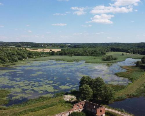 Działka inwestycyjna 35 ha  w Celejowie /Wąwolnica