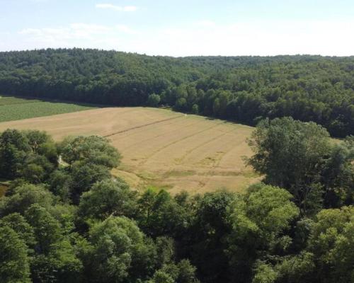 Działka inwestycyjna 35 ha  w Celejowie /Wąwolnica