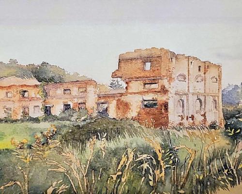 Działka 35 ha z ruinami papierni w Celejowie.