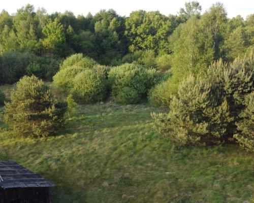 Działka o pow. 2,08 ha w m. Kawęczyn gm. Ciepielów