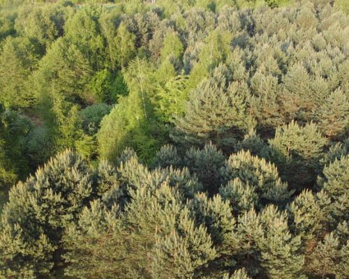 Działka o pow. 2,08 ha w m. Kawęczyn gm. Ciepielów