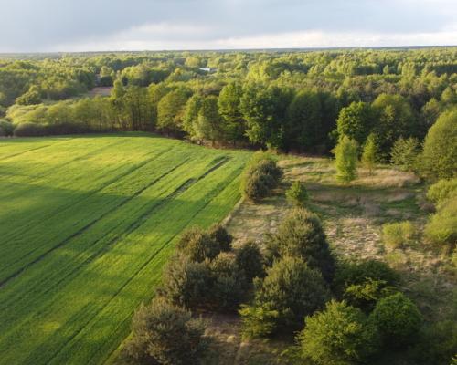 Działka o pow. 2,08 ha w m. Kawęczyn gm. Ciepielów