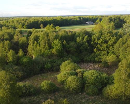 Działka o pow. 2,08 ha w m. Kawęczyn gm. Ciepielów
