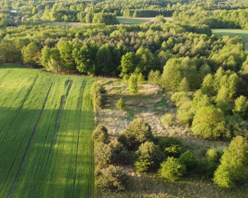 Działka o pow. 2,08 ha w m. Kawęczyn gm. Ciepielów