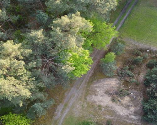 Działka o pow. 2,08 ha w m. Kawęczyn gm. Ciepielów