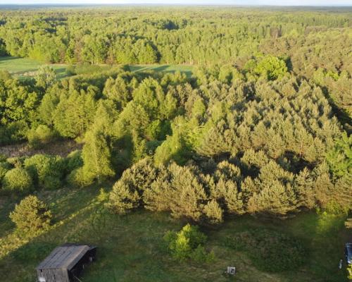 Działka o pow. 2,08 ha w m. Kawęczyn gm. Ciepielów