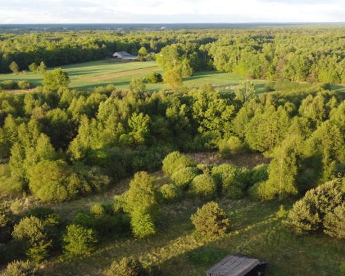 Działka o pow. 2,08 ha w m. Kawęczyn gm. Ciepielów