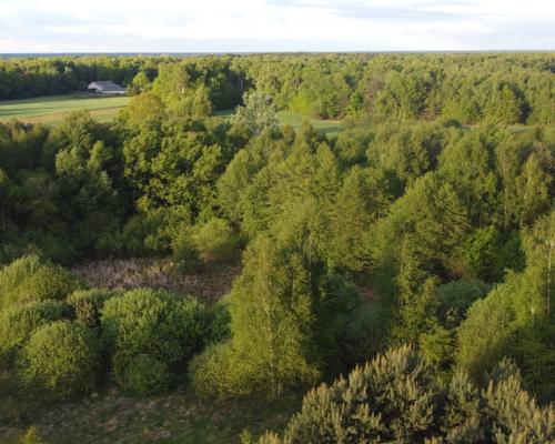 Działka o  pow. 1,63 ha w Karolowie gm. Chotcza.