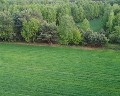 Działka o  pow. 1,63 ha w Karolowie gm. Chotcza.