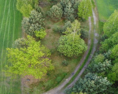 Działka o  pow. 1,63 ha w Karolowie gm. Chotcza.