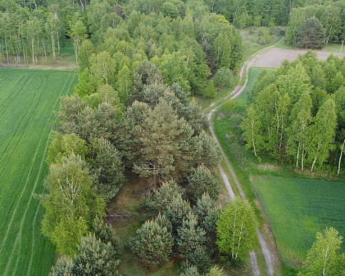 Działka o  pow. 1,63 ha w Karolowie gm. Chotcza.