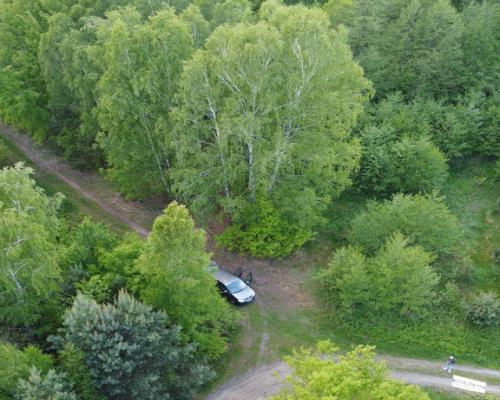 Działka o  pow. 1,63 ha w Karolowie gm. Chotcza.