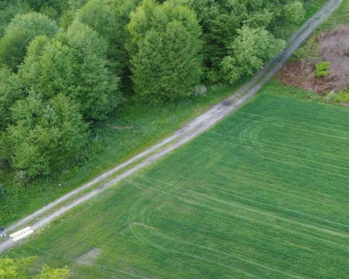 Działka o  pow. 1,63 ha w Karolowie gm. Chotcza.
