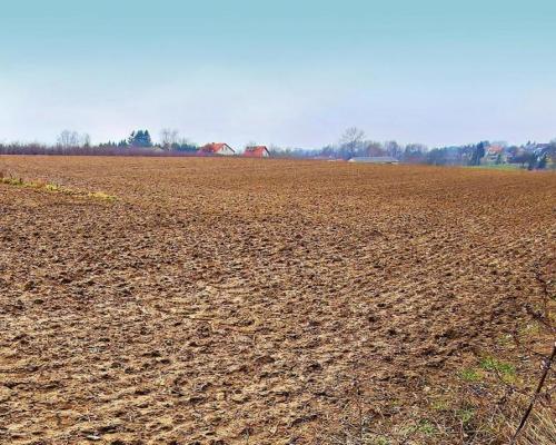 Tomaszowice - działka 20ar położona na wzniesieniu