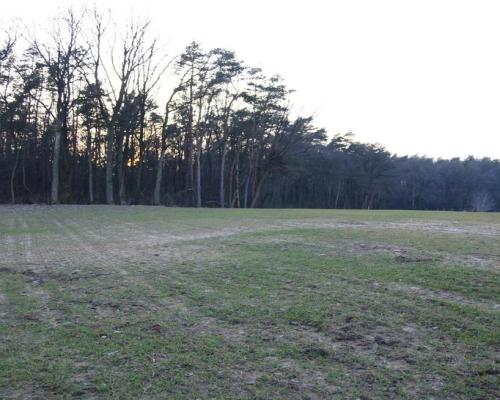 Malownicza działka w pięknym zakatku Lublina.