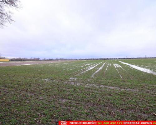 Wierciszów, działka budowlana MN, media.