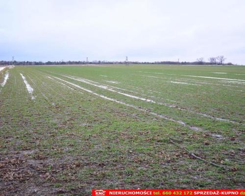 Wierciszów, działka budowlana MN, media.