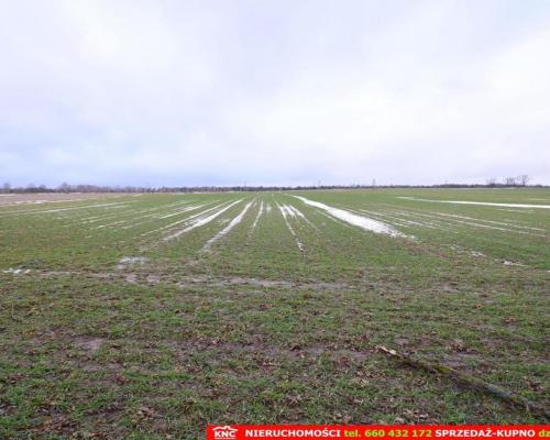 Wierciszów, działka budowlana MN, media.