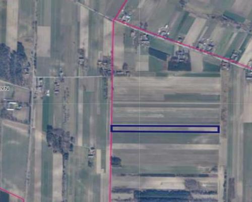 Działka rolna 1,80 ha Mszadla Nowa gm. Przyłęk