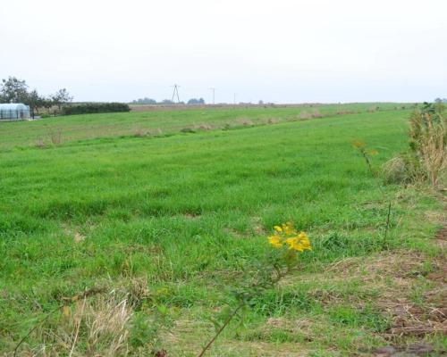 Radawiec Duży, działka budowlana, wydane WZ, media
