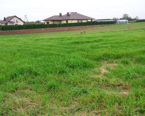 Radawiec Duży, działka budowlana, wydane WZ, media