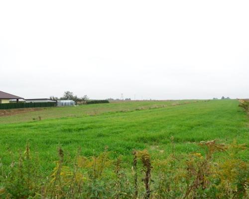 Radawiec Duży, działka budowlana, wydane WZ, media