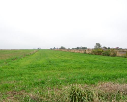 Radawiec Duży, działka budowlana, wydane WZ, media