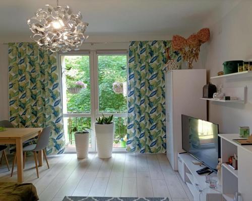 Mieszkanie 50 m2 po remoncie Al. Lipowe Pionki.