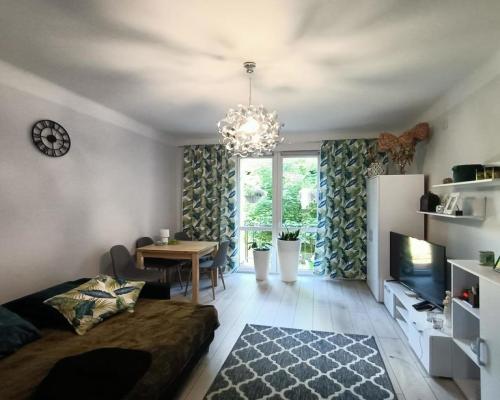 Mieszkanie 50 m2 po remoncie Al. Lipowe Pionki.