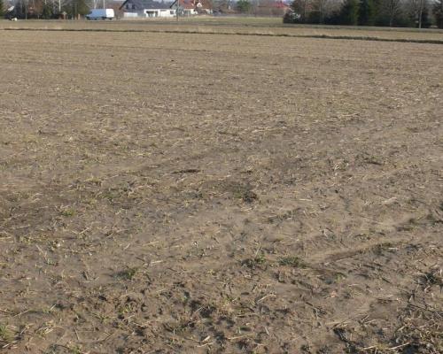 46,3arDZIAŁKA INWESTYCYJNA!!!