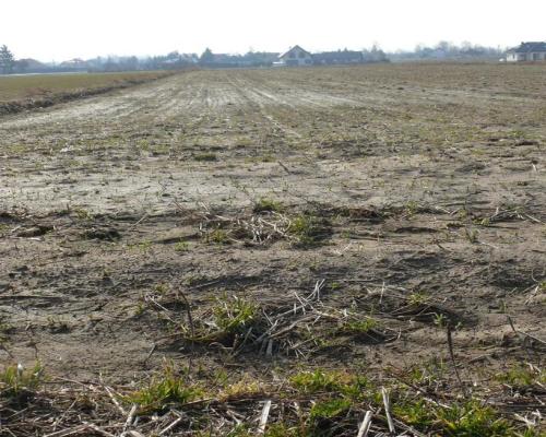 46,3arDZIAŁKA INWESTYCYJNA!!!