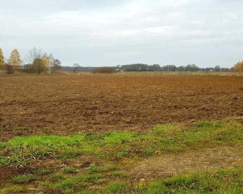 Grunt rolny - 55 ar - Samoklęski, gmina Kamionka