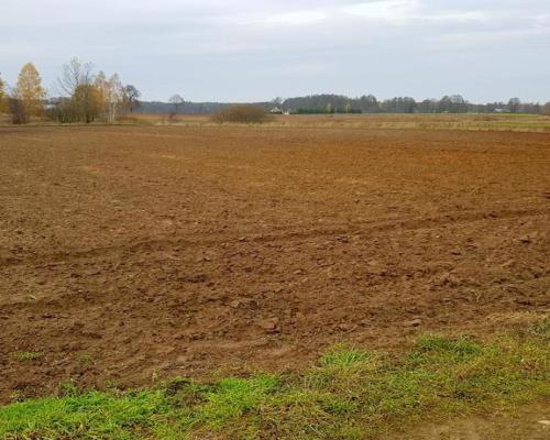 Grunt rolny - 55 ar - Samoklęski, gmina Kamionka