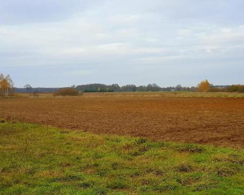 Grunt rolny - 55 ar - Samoklęski, gmina Kamionka